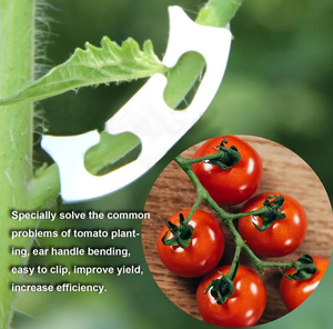 Clips <span class=keywords><strong>de</strong></span> support anti-pliage pour plantes, clips <span class=keywords><strong>de</strong></span> greffage blancs pour tomates, clips pour tomates - Product Image 5