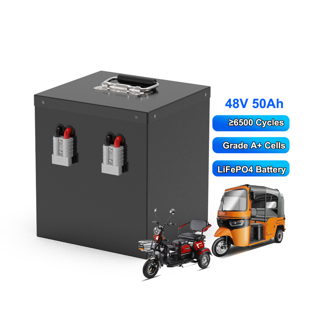 Electric Vehicle Lithium Ion Battery 48V 25AH 50AH 75AH 100AH Tricycle Rickshaw Tuktuk 1000W 2000W 3000W Motor LiFePO4 Battery
