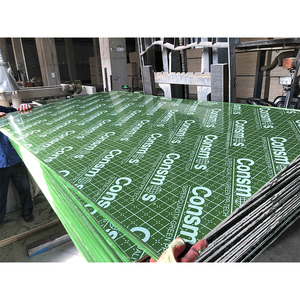 Pannelli di <span class=keywords><strong>Compensato</strong></span> <span class=keywords><strong>Marino</strong></span> Rivestiti in Plastica PP Impermeabile di Alta Qualità 4X8mm 18mm/21mm - Product Image 6