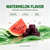 Gummies de Reishi Personnalisées à Marque Blanche, Véganes, pour le Sommeil et la Réduction du Stress, Fabricant en Gros OEM ODM