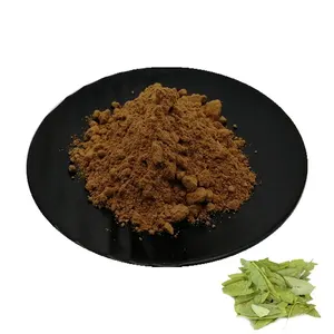 Sennosides Powder Pure Natural Senna Leaf Extract 10% 20% Sennosides