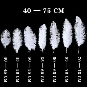 Vente en gros de plumes <span class=keywords><strong>d</strong></span>'<span class=keywords><strong>autruche</strong></span> magnifiques de 45-50 cm, pour la création de bijoux DIY, la <span class=keywords><strong>d</strong></span>écoration de mariage, la <span class=keywords><strong>d</strong></span>écoration de fête, la <span class=keywords><strong>d</strong></span>écoration de la maison, multicolores - Product Image 5