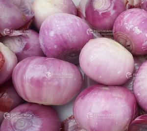 Industriële Stoom Druivenschilmachine Elektrische Stoom Druivenschiller Machine Automatische Druivenschiller Met Transportband - Product Image 5