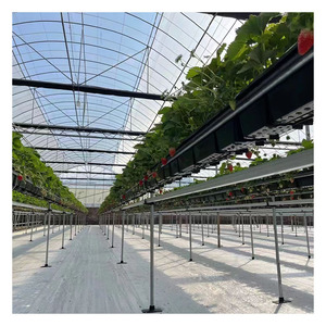 Toile de paillage WON 110GSM, tissu géotextile tissé anti-mauvaises herbes, barrière de contrôle des mauvaises herbes, tapis anti-mauvaises herbes blanc, Shandong - Product Image 3