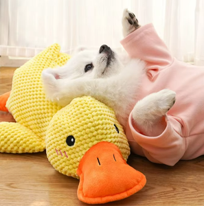 Giocattolo per Cani a Forma di Anatra in Peluche con <span class=keywords><strong>Squeaker</strong></span> - Compagno Morbido per Masticare e Dormire - Product Image 4