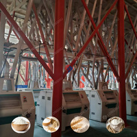 Machines de Meunerie de Farine de Blé de 120 Tonnes avec Prix, Moulin à Aliments Complet, Broyeur Sec et Humide, Ligne de Production de Maïs, de Grains et de Riz
