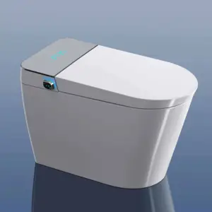 智能陶瓷wc落地式水日本马桶浴室自动陶瓷黑色智能马桶