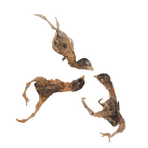 הקפאה מיובשת מזון מזון מזון מיובש בהקפאה מזון כלבים כלבים מחמד למבוגרים הסיטונאי 200 גר 'מזון מיובש בהקפאה - Product Image 4