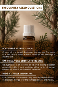 Aceite Esencial de Ciprés Turco 100% Puro, Cupressus Sempervirens, Destilado al Vapor, Venta al Por Mayor, Marca Privada OEM para Aromaterapia - Product Image 6