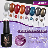 Échantillon Gratuit - Collection de Vernis Gel Effet Œil de Chat Water Light - Vernis à Ongles Gel Effet Œil de Chat Personnalisé OEM sans TPO ni HEMA pour Nail Art