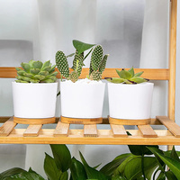 Dropshipping Pots pour succulentes Petits pots pour succulentes en céramique de 3.31 pouces avec drainage Jardinières pour succulentes blanches Pots de fleurs pour plantes