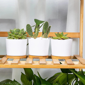 Dropshipping vasi succulenti da 3.31 pollici <span class=keywords><strong>in</strong></span> <span class=keywords><strong>ceramica</strong></span> piccoli vasi succulenti con drenaggio bianco succulento fioriere vasi da fiori per <span class=keywords><strong>piante</strong></span> - Product Image 2