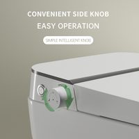 Toilettes intelligentes modernes avec bidet intégré, hygiène féminine, siège souple, chasse d'eau par siphon, antibactériennes, à poser au sol