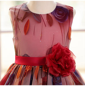 הסיטונאי בנות פרח שמלת נסיכה 3 רוז אורגנזה שמלת נשף עם חגורת אפר אירופאי בסגנון אמריקאי - Product Image 4