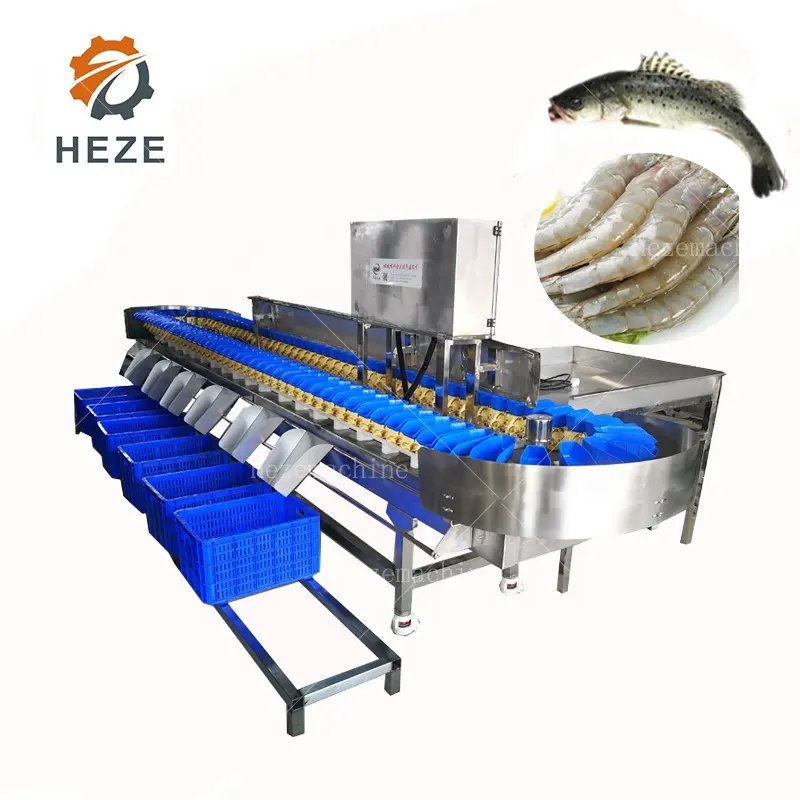 Industriale di pesce essiccato/gamberetti colore sorter/smistamento macchina con il prezzo basso