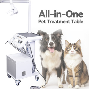 Equipo Dental Veterinario Móvil con Interfaz de Pieza de Mano de 4 Orificios y Compresor de Aire Silencioso de 600W - Product Image 2