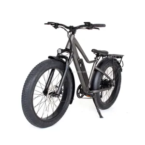 Ares Oem Fabriek Groothandel Prijs Fatbike 48V Lithium Batterij 26 Inch Elektrische Fiets 500W 750W Ebike Volwassen Fiets Fat Bike