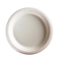 Ensemble d'assiettes rondes jetables en bagasse de canne à sucre, plusieurs tailles, compostables et biodégradables, pour pique-nique, maison, anniversaire, réunion