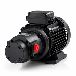 Pompe compatible QPM3, pompe gerotor, pompe à basse pression pour système de circulation de refroidissement hydraulique - Product Image 1
