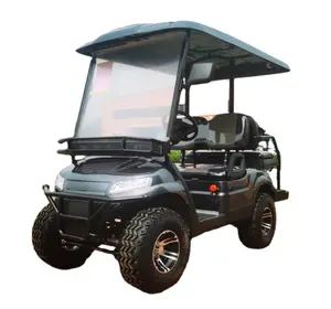 WELIFTRICH Desain Baru Stabil Kereta Golf Mobil Listrik Golf Cart Mobil Golf Electr Keranjang Electr Penumpang