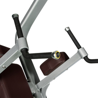 LMCC Équipement de gymnastique commercial haut de gamme Menton Dip Leg Raise Fitness Musculation Exercise Training Machine