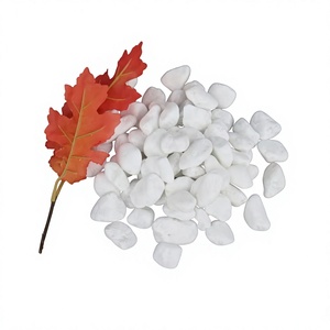Galets blancs naturels de qualité supérieure, polis et rugueux, pour la décoration de jardins extérieurs et d'aquariums - Product Image 1
