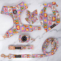 Harnais et collier pour chien personnalisés avec impression par sublimation sur papier cartonné, couleurs rêveuses, assortis à la laisse pour animaux de compagnie