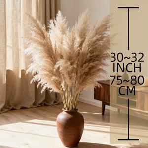Hierba de Pampas Premium, 12 Tallos de 32 Pulgadas, Naturalmente Esponjosa y de Bajo Mantenimiento, Cuidado Cero, Perfecta para Rellenar Jarrones Grandes en Cualquier Espacio - Product Image 2