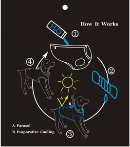 Gilet de refroidissement pour chien de grande taille, réglable, luxueux, protecteur, confortable, en maille respirante, pour l'entraînement et le service, vêtements pour animaux de compagnie, vente en gros Truelove - Product Image 4