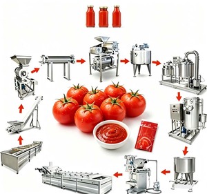 Planta <span class=keywords><strong>de</strong></span> Procesamiento <span class=keywords><strong>de</strong></span> Pasta <span class=keywords><strong>de</strong></span> Tomate Mayboom, Máquina Procesadora <span class=keywords><strong>de</strong></span> Tomate Pequeña, Máquina para Hacer Salsa <span class=keywords><strong>de</strong></span> Tomate - Product Image 1