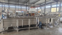 Nieuw product Automatische bubbeltype groentewasmachine Bladgroente Fruit Reinigingsapparatuur