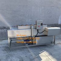 Borstelroller Reiniging Hogedruk Sproei Reinigingsmachine Jujube Palm Dadels Wasmachine