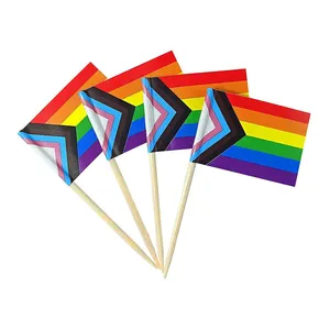 Stampa personalizzata Mini Double Sided Bright Color Transgender Gay Pride stuzzicadenti bandiera per Cupcake