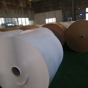 PE Coated Cup <strong>Paper</strong> <strong>Paper</strong> Roll <strong>Cupstock</strong> and <strong>Paper</strong> Cup Fan