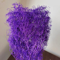 Bunga Gypsophila Elegans Mini Baru 2022, Segar dan Diawetkan, Warna Putih dan Merah Muda untuk Pernikahan, Hari Ibu, Natal