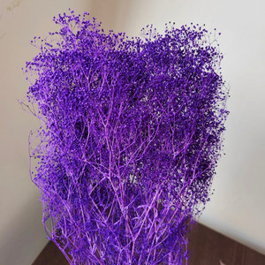 Novità 2022 Mini Gypsophila Elegans Fiori Freschi e Stabilizzati Bianchi e <span class=keywords><strong>Rosa</strong></span> per Matrimoni Festa della Mamma e Natale - Product Image 3