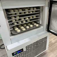 IQF Commercial Portable Congélateur En Spirale Profonde Mini Réfrigérateur À Congélation Rapide Sous-Zéro Congélateur À Chocs À Basse Température