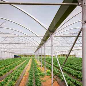 Serre Commerciale Multi-Span à Film Plastique Haute Efficacité pour l'Agriculture, Serre Modulaire à Structure en Acier pour la Culture - Product Image 6
