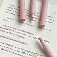 Ensemble de surligneurs double tête dégradés, style esthétique Ins, marqueurs pastel, stylos de couleur pour la prise de notes et le journalisation