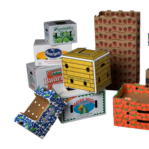 Bandeja <span class=keywords><strong>de</strong></span> Papel Decorativa Personalizada con Logotipo Impreso para Empacar Verduras, <span class=keywords><strong>Tomates</strong></span> Cherry y Frutas Frescas - Product Image 6