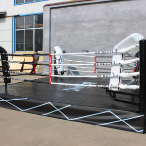 Competición estándar Muay Thai pilares fuertes anillos usados para entrenar <span class=keywords><strong>4X4</strong></span> anillo <span class=keywords><strong>de</strong></span> <span class=keywords><strong>boxeo</strong></span> - Product Image 6