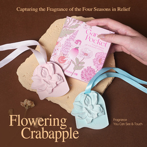 Tablettes parfumées d'aromathérapie en plâtre pour la maison, la voiture, élimination des odeurs, pièces d'encens en gypse, pendentif solide - Product Image 5