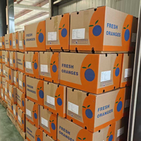 Topkwaliteit premium verse Valencia sinaasappel mandarijn fruit citrus fruiten gekweekte leverancier rechtstreeks uit China exporteur