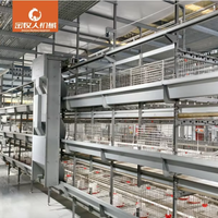 Cage à poulets de type H, système de collecte d'œufs automatique pour volailles, équipement d'élevage de poules pondeuses, cage de couvaison automatique