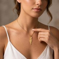 Collier en acier inoxydable plaqué or 18 carats avec carte d'Israël, pendentif étoile de David, bijoux juifs en or, collier Magen David pour femmes