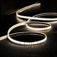 Bande lumineuse LED COB Joystar 5M 24V, largeur PCB 8MM, blanc chaud/blanc froid, 11W, IP20, cuivre, CCT 480LEDs/M
