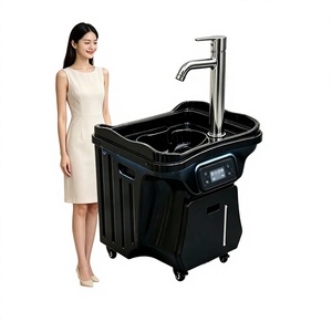 Bac de lavage portable électrique sans plomberie pour exposition, lavabo de salon de coiffure avec réservoirs d'eau pour le lavage des mains et du shampoing - Product Image 1