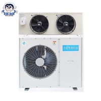 Aire Acondicionado Inverter R404A R22 de 50hz, Unidad Mini Split de Pared Todo en Uno con Compresor para Almacenamiento en Frío