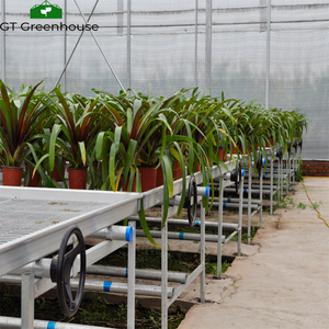 Bancos para invernadero hidropónico, mesa <span class=keywords><strong>de</strong></span> cultivo, 4x8 - Product Image 5