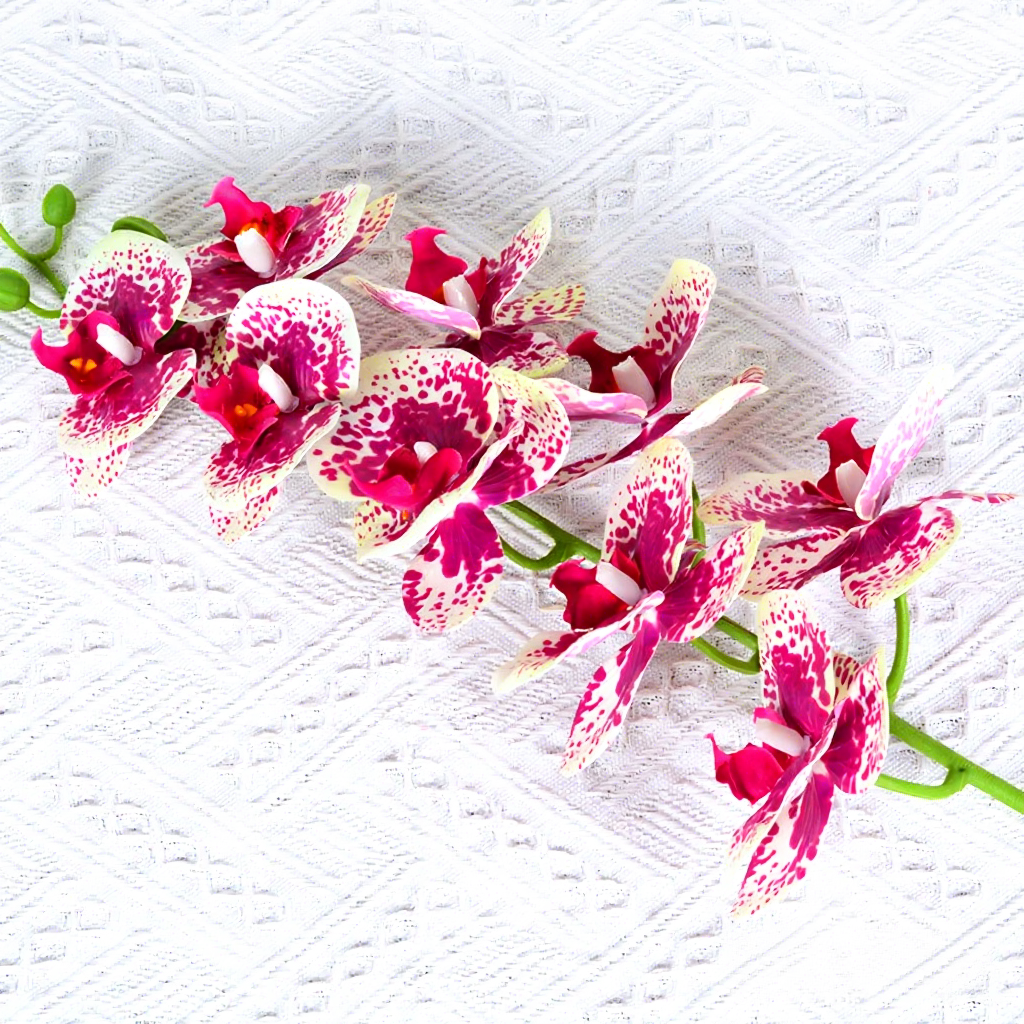 9-head phalaenopsis orchid-purple-spotted